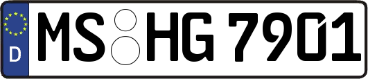 MS-HG7901