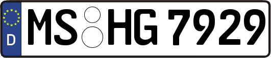 MS-HG7929