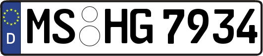 MS-HG7934