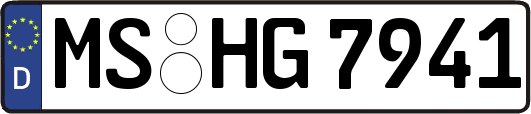 MS-HG7941