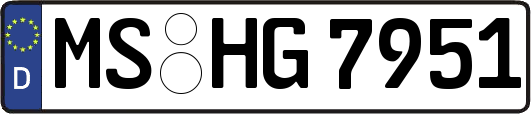 MS-HG7951