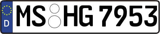 MS-HG7953