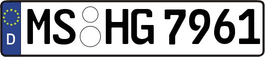 MS-HG7961