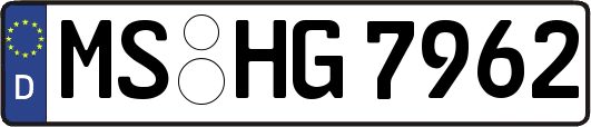 MS-HG7962