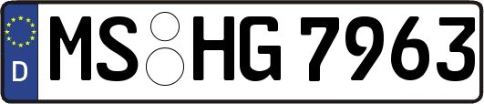 MS-HG7963