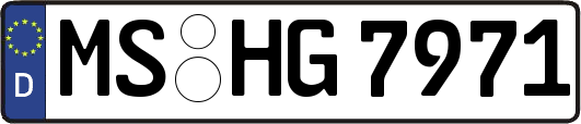 MS-HG7971