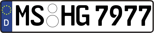 MS-HG7977