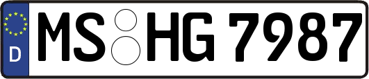 MS-HG7987
