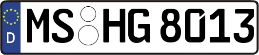 MS-HG8013