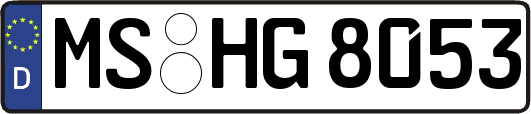 MS-HG8053