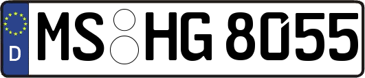 MS-HG8055