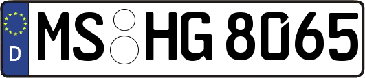MS-HG8065