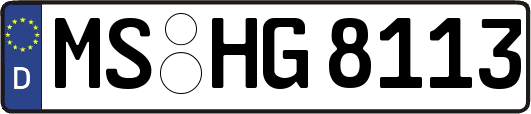 MS-HG8113