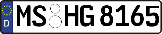 MS-HG8165
