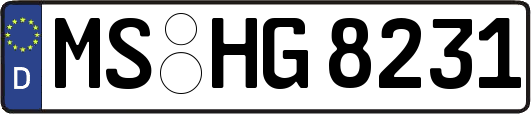MS-HG8231