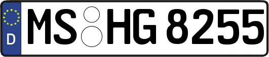 MS-HG8255
