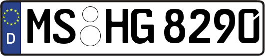 MS-HG8290