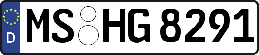 MS-HG8291