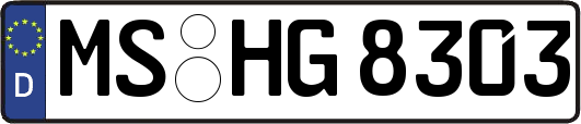 MS-HG8303