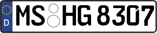 MS-HG8307