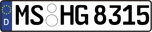 MS-HG8315