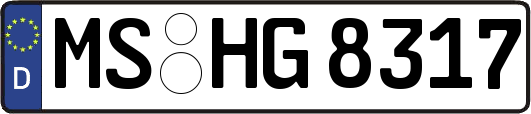 MS-HG8317