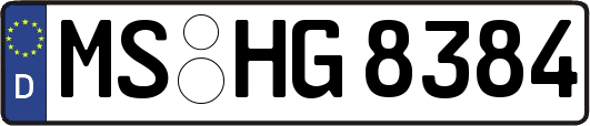 MS-HG8384