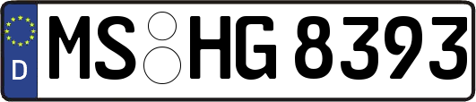 MS-HG8393