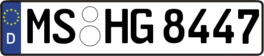 MS-HG8447
