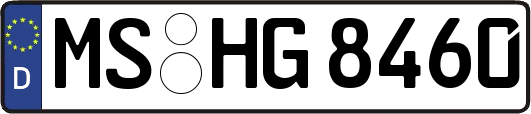 MS-HG8460