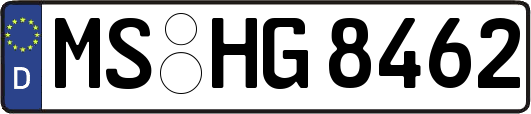 MS-HG8462