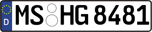 MS-HG8481