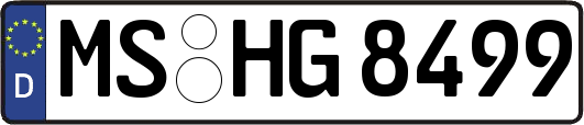 MS-HG8499