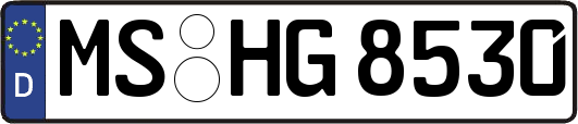 MS-HG8530