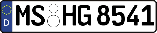 MS-HG8541