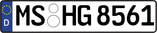 MS-HG8561
