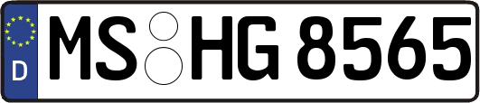 MS-HG8565