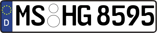 MS-HG8595