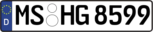 MS-HG8599