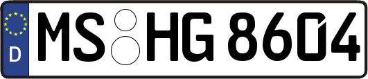 MS-HG8604