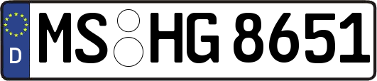 MS-HG8651