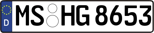 MS-HG8653