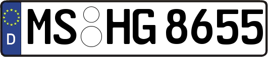 MS-HG8655
