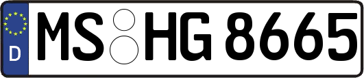 MS-HG8665