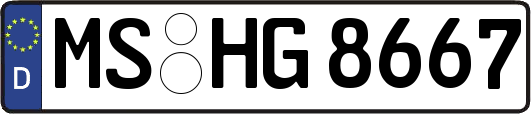 MS-HG8667