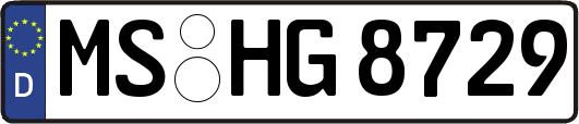 MS-HG8729