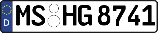 MS-HG8741