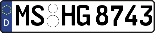 MS-HG8743