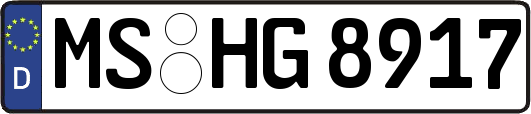 MS-HG8917