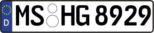 MS-HG8929